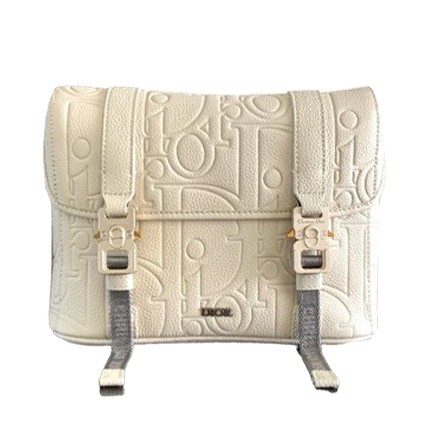 디올 힛 더 로드 메신저백 1ESPO333