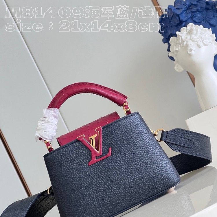 루이비통 카푸신 미니 M81409