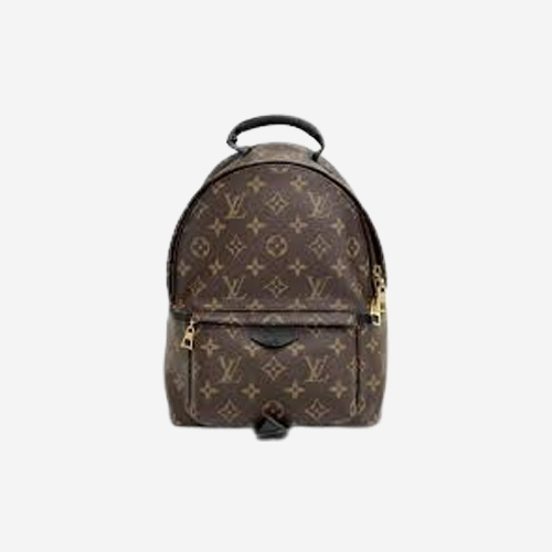 루이비통 팜 스프링스 백팩 PM M44871