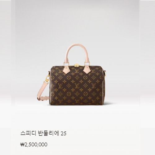 스피디 반둘리에 25 M41113