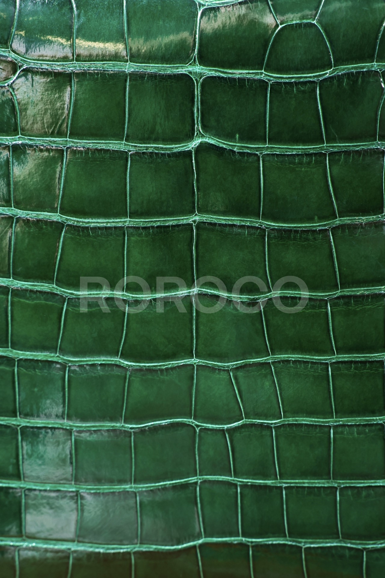90741a2c8af00.jpg
