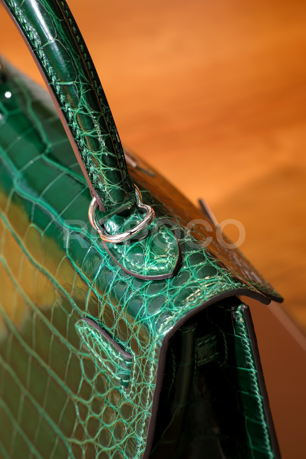 f50928263213a.jpg