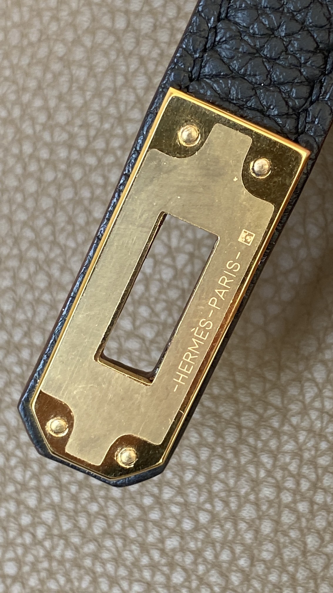 3d1ffbfcd2307.jpg